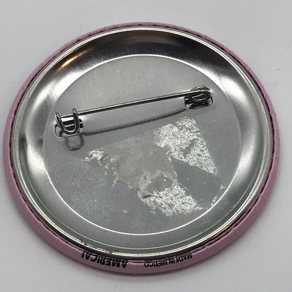 Alaska Governor Sarah Palin Hottest VP Coolest State Campaign Pin Pinback Button - Picture 4 of 6